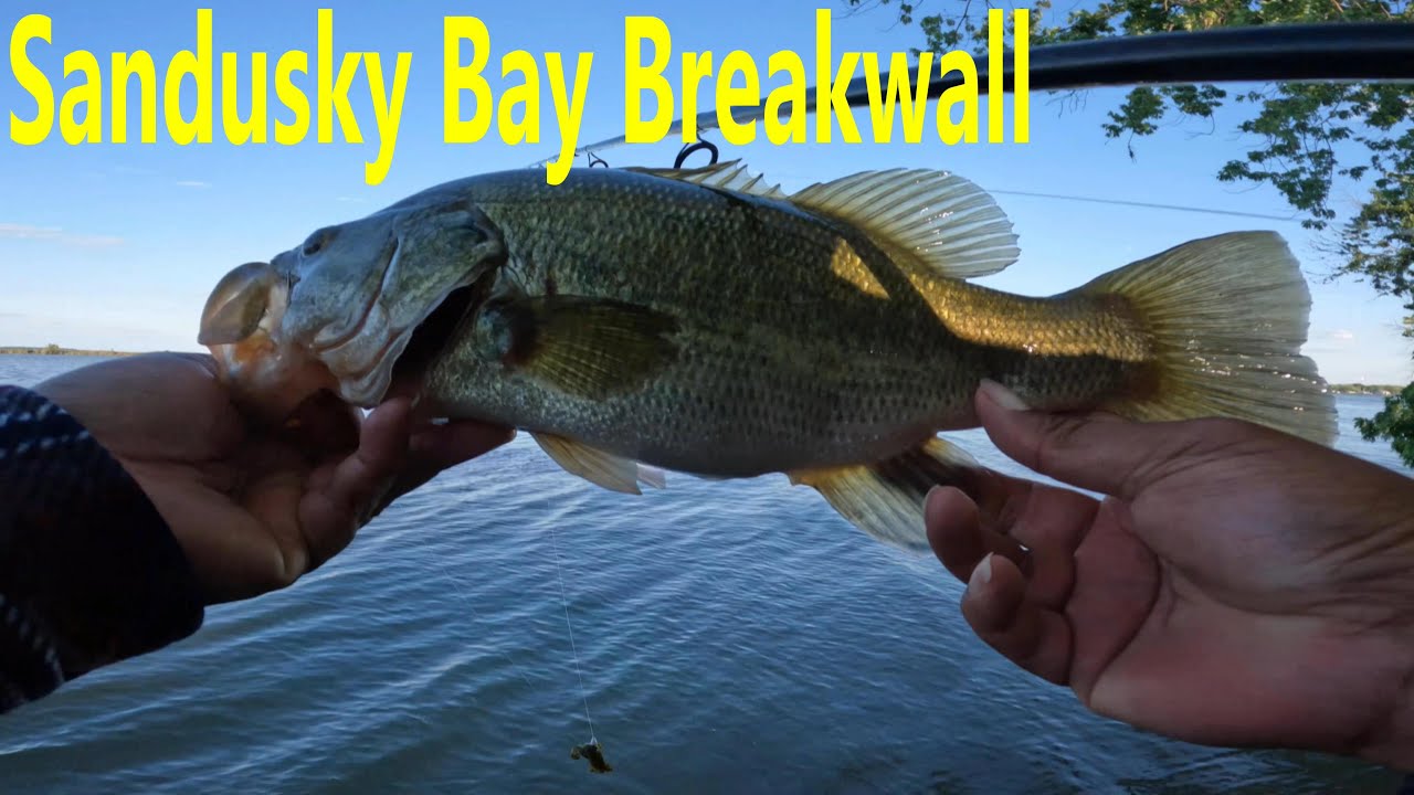 Sandusky Summer Bank Fishing Multi Species Fishing On The Pier YouTube