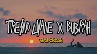 Download lagu Tresno Liyane X Bubrah X Nyawiji X Sakpenake || Viral TIKTOK Terbaru 2024!!