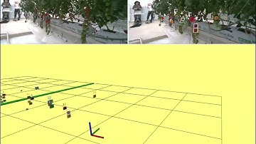 Cherry Tomato Counting with Manually Controlled Drone , 2025 ICRA Workshop on Field Robotics