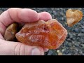 HUGE Carnelian & Chalcedony Agates with the Agate MOTHERLODE! | Oregon Coast Rockhounding