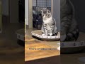 あくびする時の顔のクセがすごい#shorts