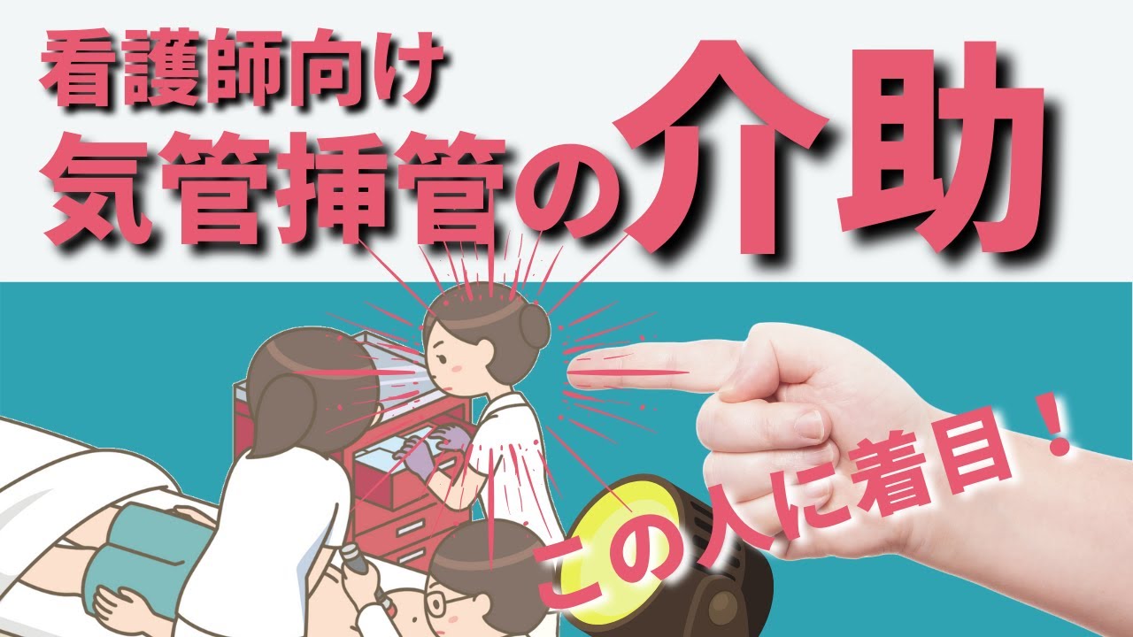 成人用挿管マネキンモデル 挿管マネキン教育モデル 経口 l 気管挿管シミュレーション 気道管理トレーナー 専門看護師用 緊急教育用 挿管 モデル成人気道マネキン研究教育モデル、経口経鼻挿管マネキントレーニング研究、モデル気道管理 Amazon.co.jp: 教育モデル人間気管 ..., image size:1280x720