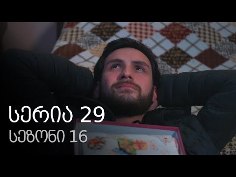 ჩემი ცოლის დაქალები - სერია 29 (სეზონი 16)