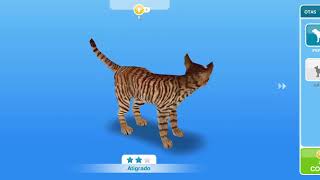 🐾 Tienda de mascotas y nuevas amistades | Los Sims FreePlay #13