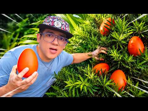 HUNTING FOR HIDDEN SECRET DINOSAUR EGGS!