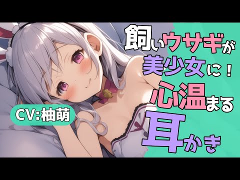 【高音圧・耳かき】飼いうさぎの耳かき【ASMRシチュエーション生配信・立体音響・KU100】