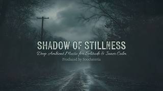 Shadow of Stillness