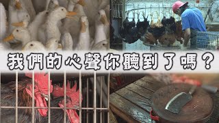 【Life Wisdom】20210514 - Cleaner Mind, Safer World
