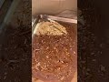 Chocolate Peanut Butter Greek Yogurt Bark