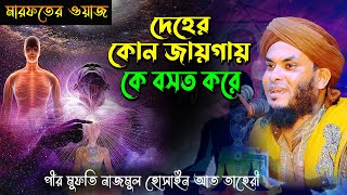 তরিকতের ওয়াজ, মানব দেহটা কি, দেহের কোন জায়গায় কে বসত করে,পীর মুফতি নাজমুল হোসাইন আত তাহেরী, Mridha M