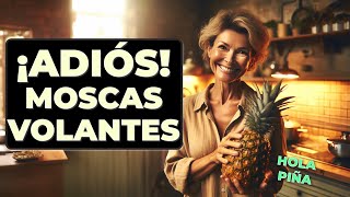 ¡La PIÑA puede ser la clave para eliminar las MIODESOPSIAS! ✨ | Descubre Cómo