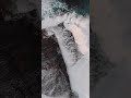 قصيدة وعظية المنظومة الهـائية بصوت أبو هريرة الليبي قصيدة وعظية المنظومة الهـائية بصوت أبو هريرة الليبي