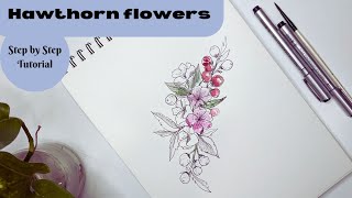 How to draw flowers. Hawthorn flowers | May's birth month flower drawings. Floral illustration.