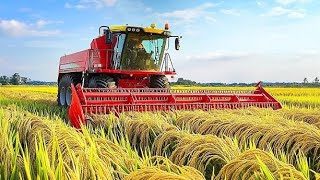 how 30 million tons of sweet corn grown and canned each year | How Corn Processed from Farm to Table