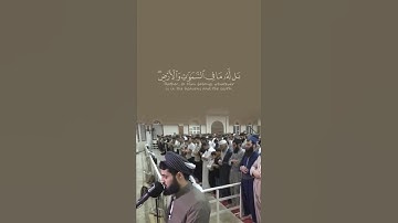 الشيخ رعد الكردي || حالات واتس || حالات تيك توك || تلاواة خاشعة || قران كريم || مؤثرة ❤❤💖