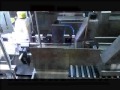 Bottle Inspection System-with 3 Cognex Camera