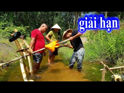 Video Đầu Heo Quay Ngon Nhất Giải Hạn Cho Toàn Đen | Sơn... - youtube
