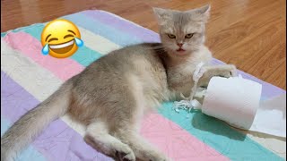 So funny and adorable mama cat  too cute