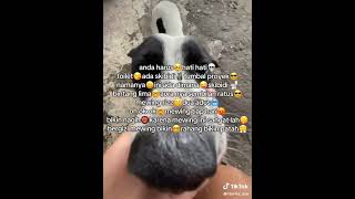 Anda Harus Hati Hati Toilet Ada Skibidi  Bystarvly ayu