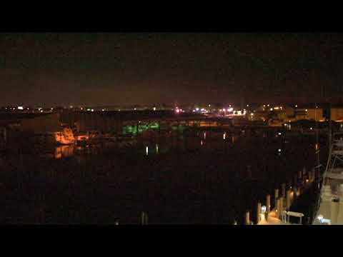 20sec Audio Flamingo from Window 20170625 copy 1
