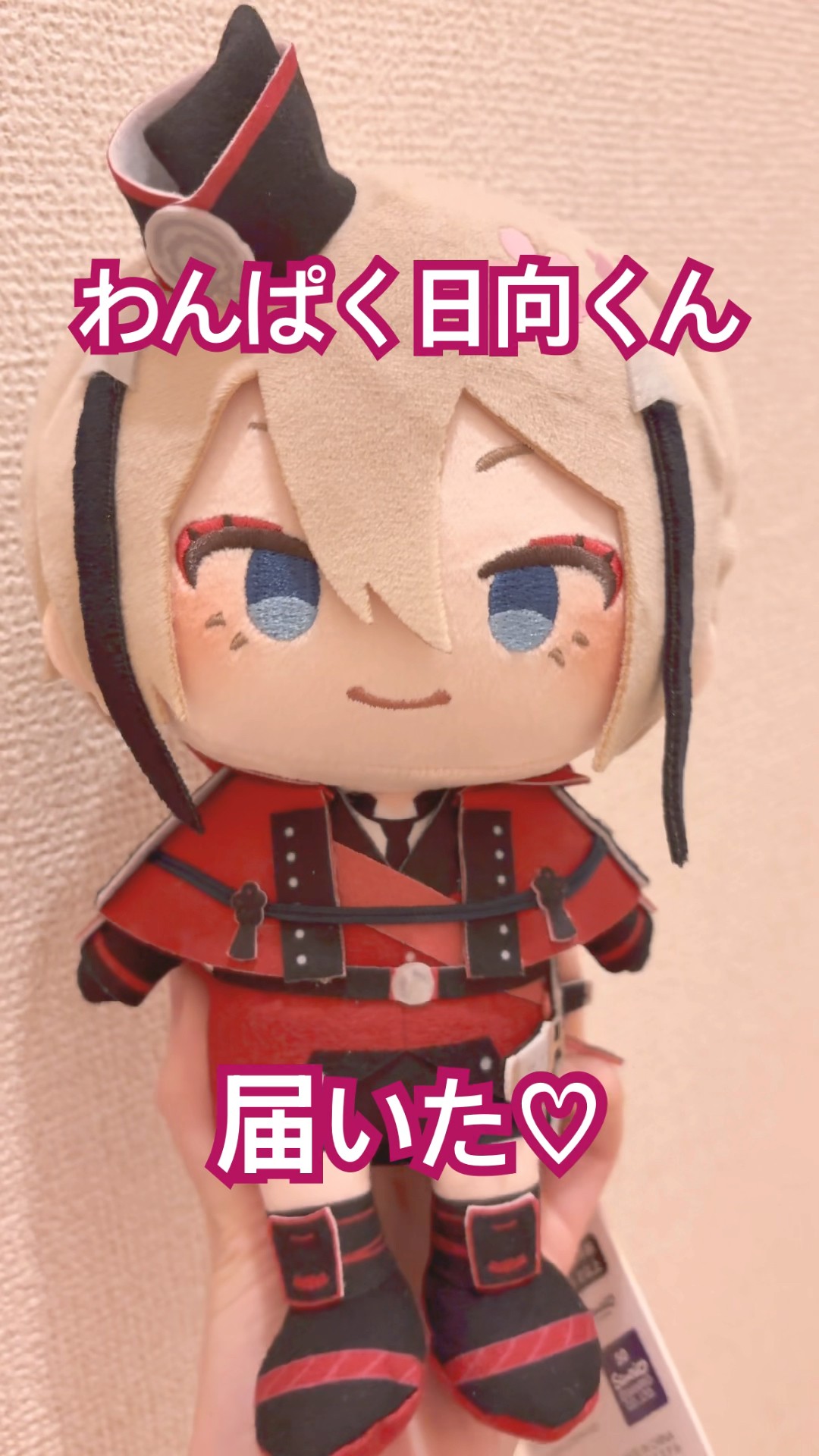 ショップ活動 刀剣乱舞 わんぱく ぬいぐるみ 日向 【公式通販】
