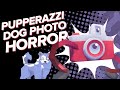 Cute Dogs Meet CAMERAFACE HORROR | Pupperazzi Dog Photography Game on Xbox Game Pass