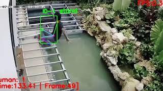 Human Fall Detection