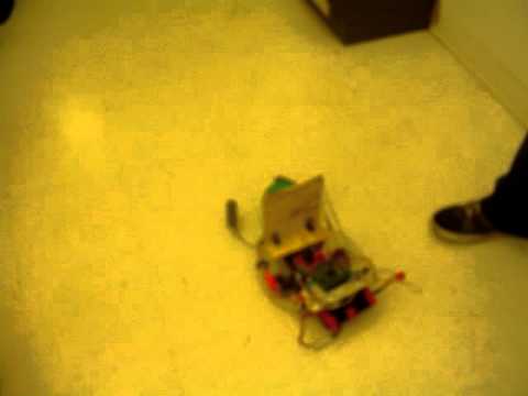 Object-Tracking Robot