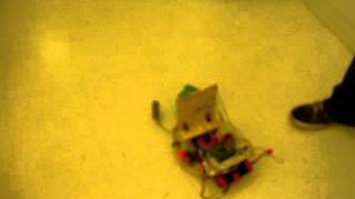 Object-Tracking Robot