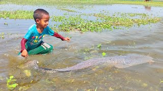 Amazing Boy Catching Big Catfish By Hand In Mud Water - Hand Fishing For Big Catfish