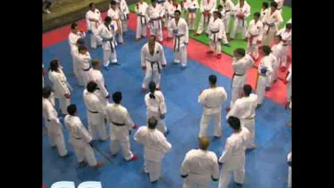 Shuri-Ryu Karate-Do reinshi forry
