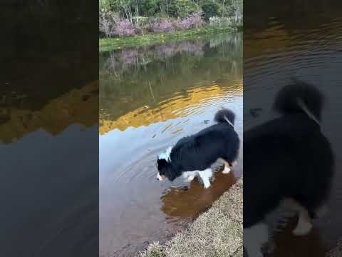 Juliette Freire (@juliette) archived Instagram Stories compilation from July 9, 2026