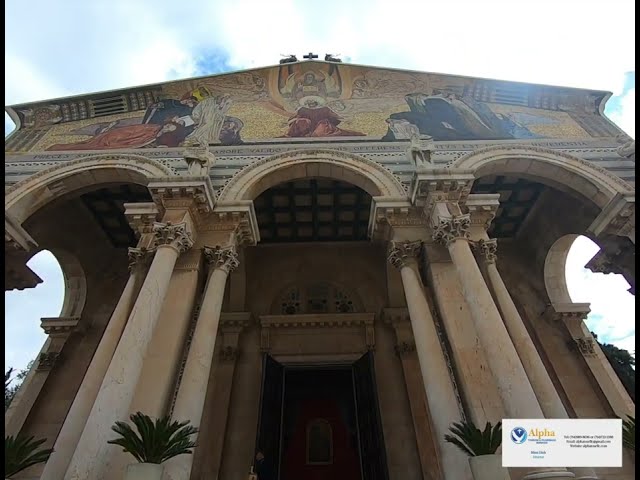 Alpha Tour Walks The Garden Of Gethsemane