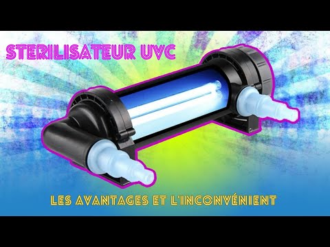 Vidéo: Pouvez-vous désactiver un filtre d'aquarium la nuit?