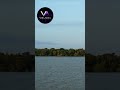 Amazon Jungle 🌿 Tribal Deep House Journey #deephouse #tribalhouse #velnox