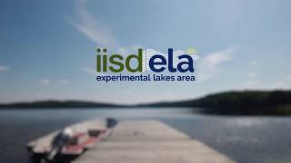 How We Do Things at IISD-ELA: Collecting snow samples
