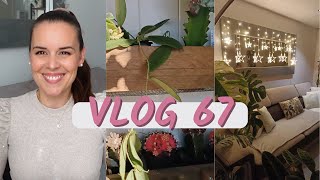 Bouturage orchidée, graines de Thaïlande, déco cocooning | VLOG 67 |