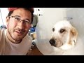 Chica Had Surgery