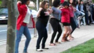 Famous Chi Upsilon Sigma at the Delta's block party Profile