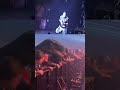 Pantera | Raptor