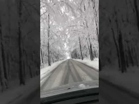 ليبي فالمانيا عايش