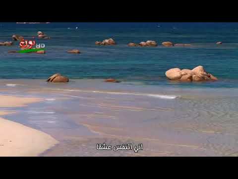 صابر الرباعى رفقا مولاتى