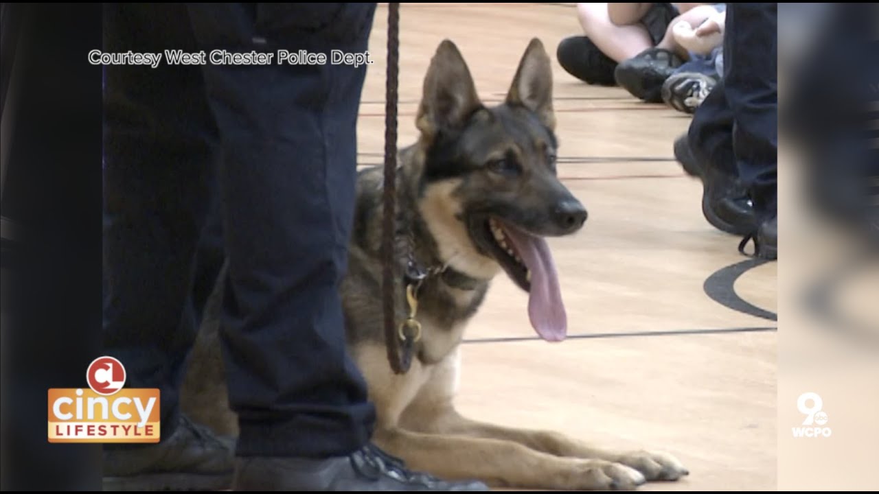 The West Chester Police Department Helps Us Celebrate National K9 ...