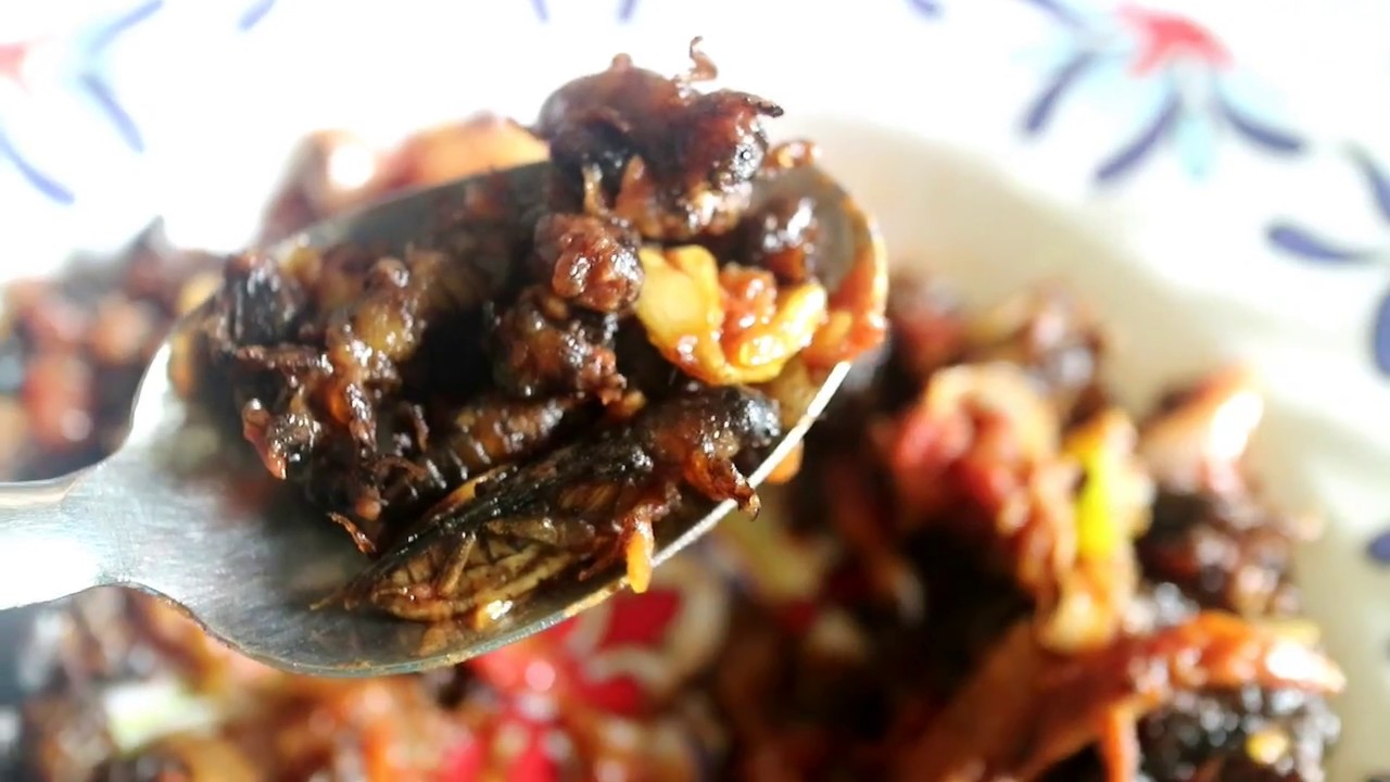 How to cook Sarciadong Sosohong ( Mole Cricket ) Filipino Exotic