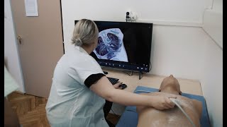 Szte Szaok Skill Ultrahang Anatómia
