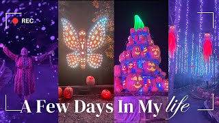 Vlogtober Day 5 & 6 | Pumpkin Patch | Maintenance Day | Facial | Massage | Callaway Resort & Garden