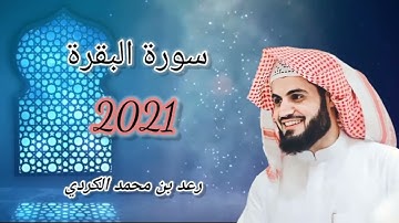 Surah Al Baqarah     Raad al Kurdi     سورة البقرة للشيخ رعد الكردي
