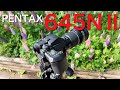 PENTAX 645NⅡ - Photographing Lupines　ペンタックス 645NⅡ - ルピナスの花を撮る