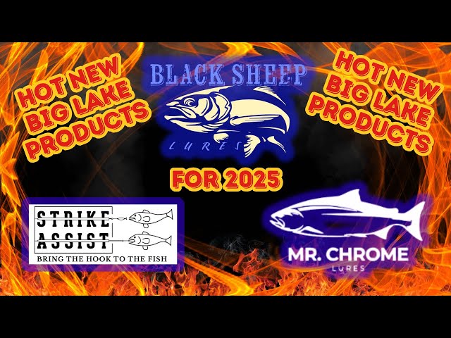 HOT NEW