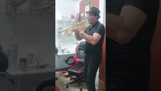 Download Lagu Arabic song trumpet #trumpet #shortvideo #music #tiktok #trend MP3 Download Lagu Arabic song trumpet #trumpet #shortvideo #music #tiktok #trend MP3